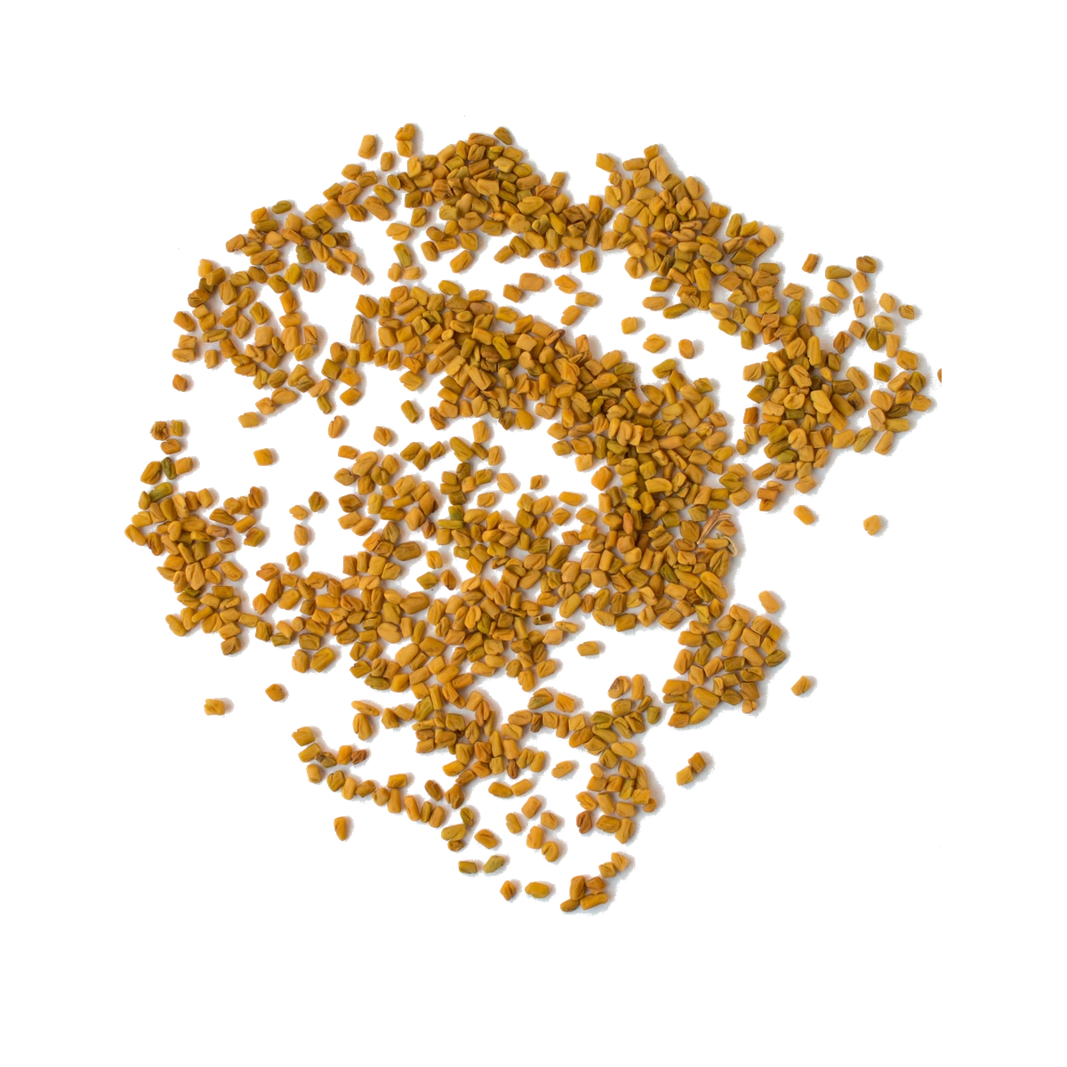 Methi Dana Fenugreek Seeds
