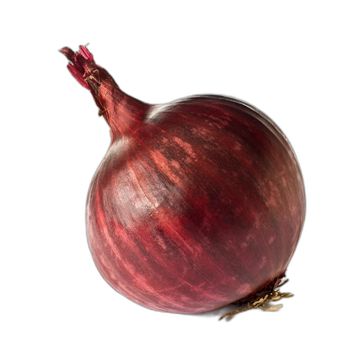 Onion