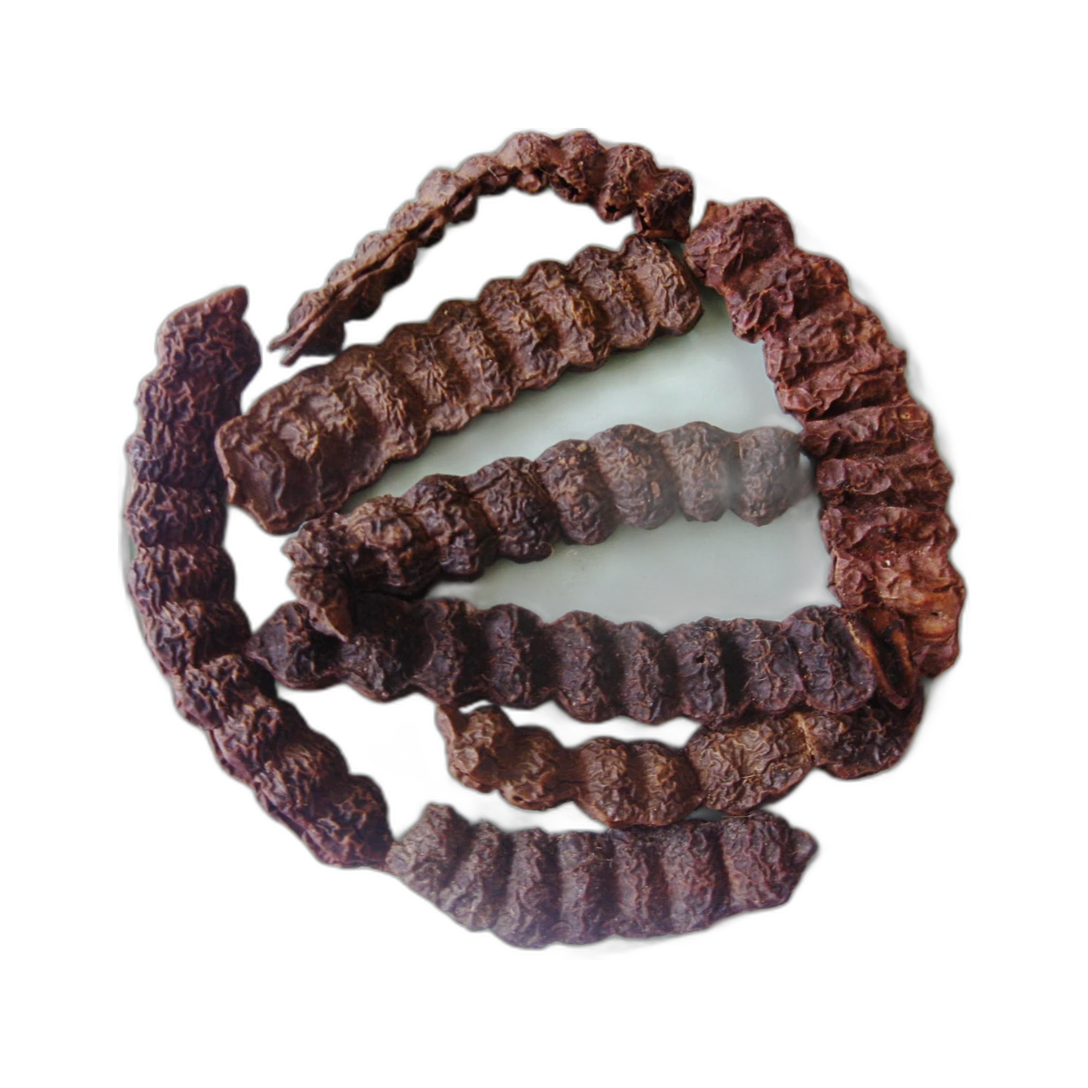 Shikakai Pods